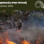 Αποζημιώσεις δασικών πυρκαγιών του Αυγούστου 2024