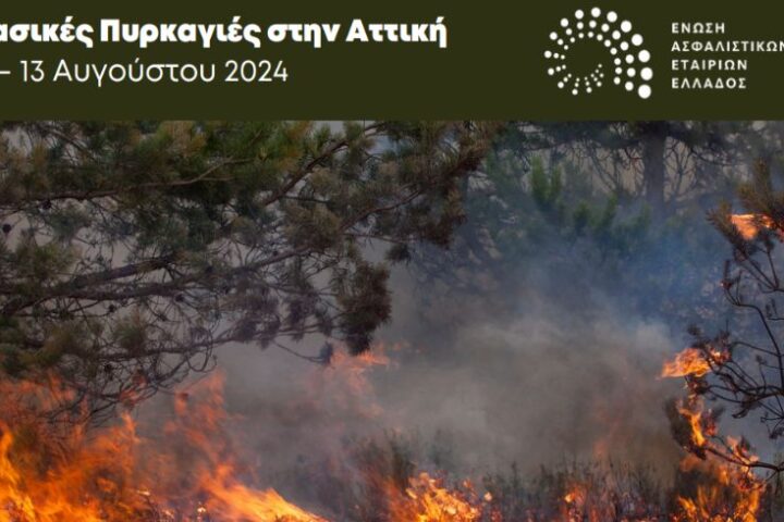 Αποζημιώσεις δασικών πυρκαγιών του Αυγούστου 2024