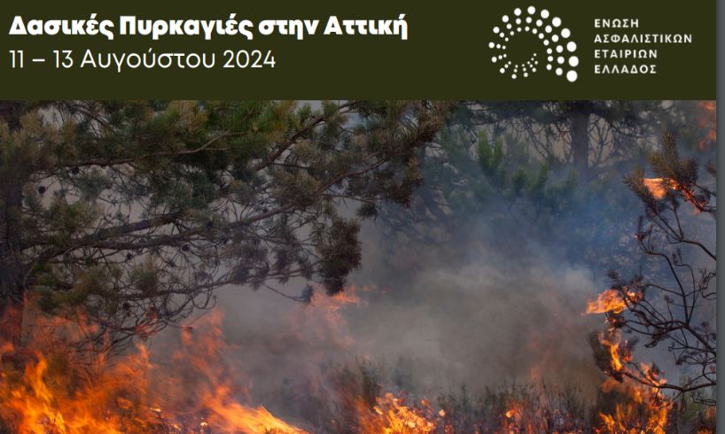 Αποζημιώσεις δασικών πυρκαγιών του Αυγούστου 2024